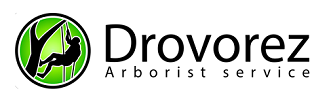 Drovoreg logo