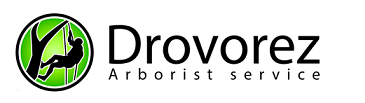 Drovorez logo